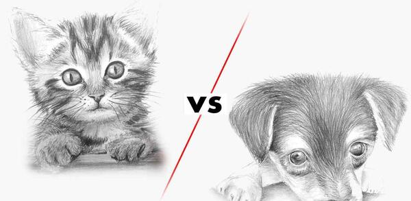 عکس نقاشی سیاه قلم با فیلم