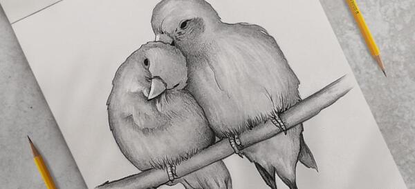 عکس نقاشی سیاه قلم با فیلم