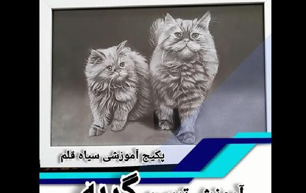عکس نقاشی سیاه قلم گربه ای