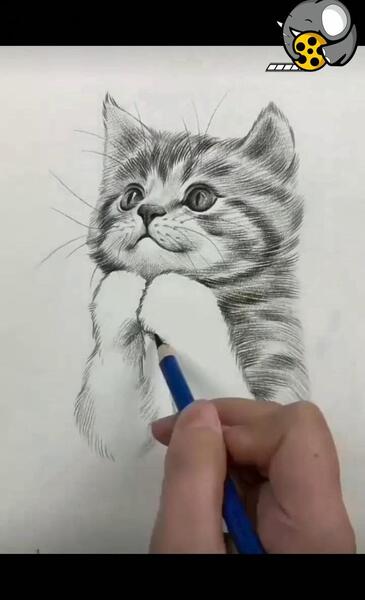 عکس نقاشی سیاه قلم گربه ای