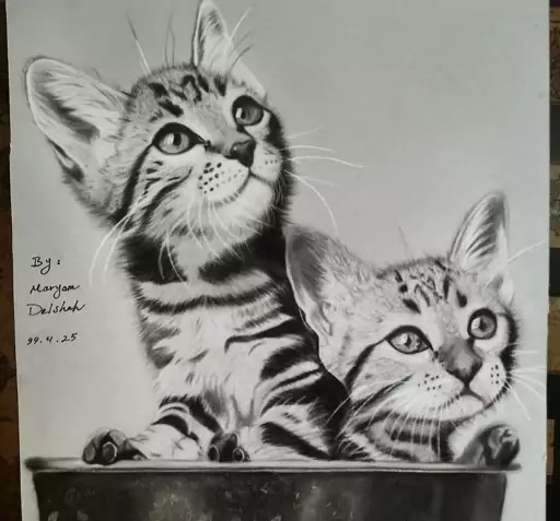 عکس نقاشی سیاه قلم گربه ای