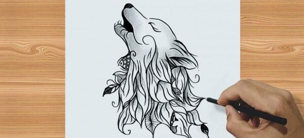 عکس آموزش نقاشی سیاه قلم گرگ