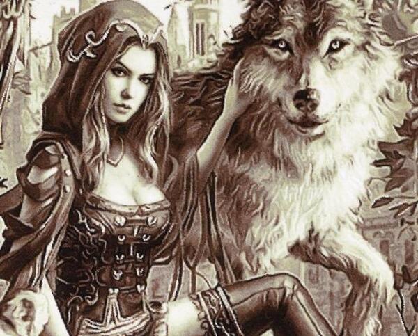 عکس نقاشی سیاه قلم گرگ