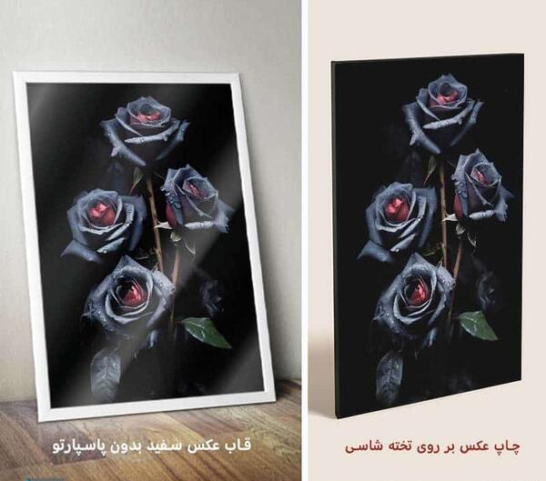 عکس آموزش نقاشی سیاه قلم گل رز