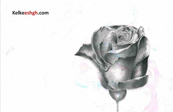 عکس آموزش نقاشی سیاه قلم گل رز