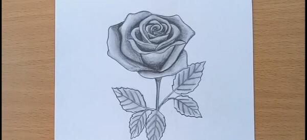 عکس نقاشی سیاه قلم گلدان و گل