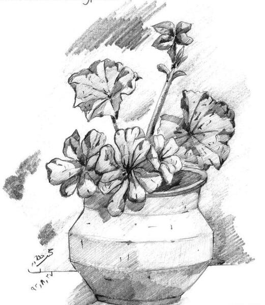 عکس نقاشی سیاه قلم از گلدان