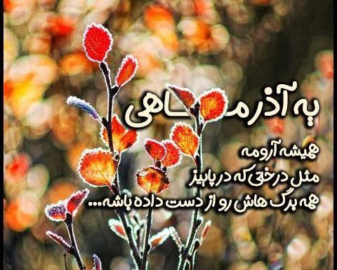 دانلود عکس تولد همسر آذر ماهی