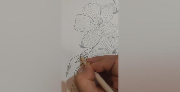 عکس نقاشی گل یاس برای پیش دبستانی
