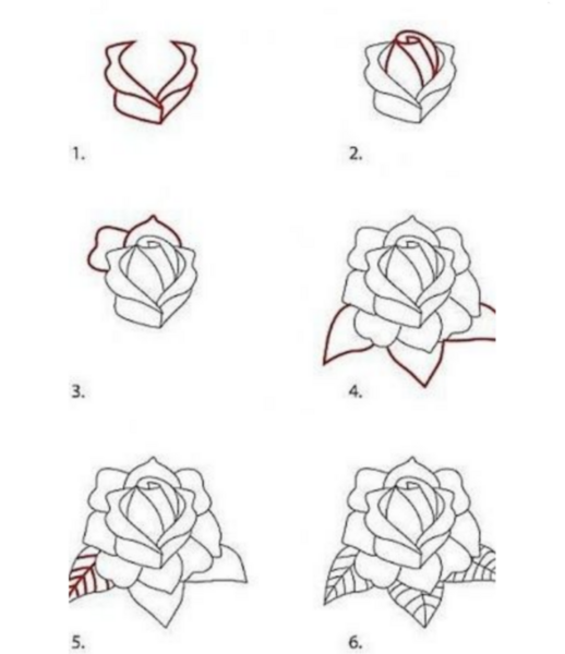 عکس نقاشی گل زیبا و ساده مرحله به مرحله