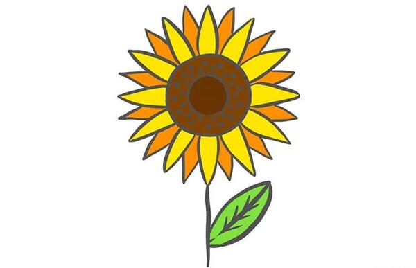عکس نقاشی گل آفتابگردان حرفه ای