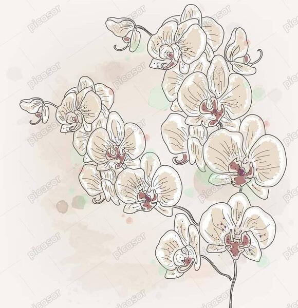 عکس نقاشی گل ارکیده ساده