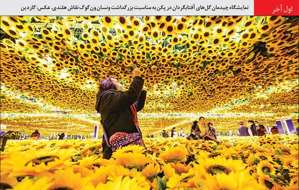 عکس نقاشی گل های آفتابگردان ونگوگ
