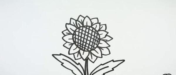 عکس نقاشی گل آفتابگردان ساده کودکانه
