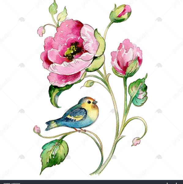 عکس نقاشی گل آبرنگ ساده