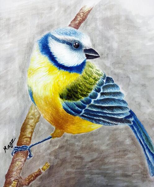 عکس نقاشی ابرنگ گل بنفشه