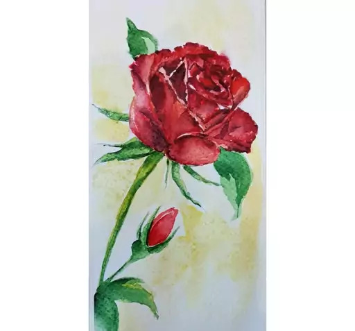 عکس نقاشی گل رز با آبرنگ