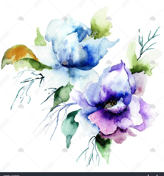 عکس گل رز آبی نقاشی