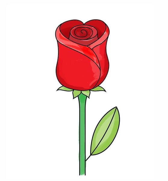 عکس گل رز آبی نقاشی
