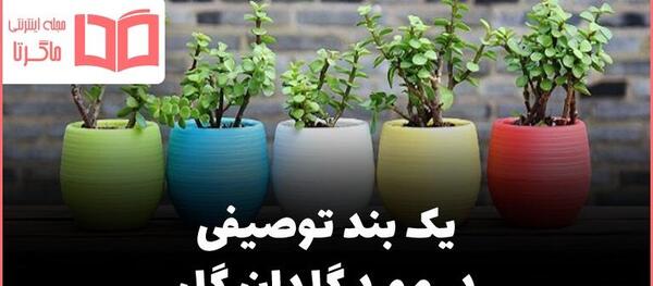 عکس نقاشی آبیاری گل