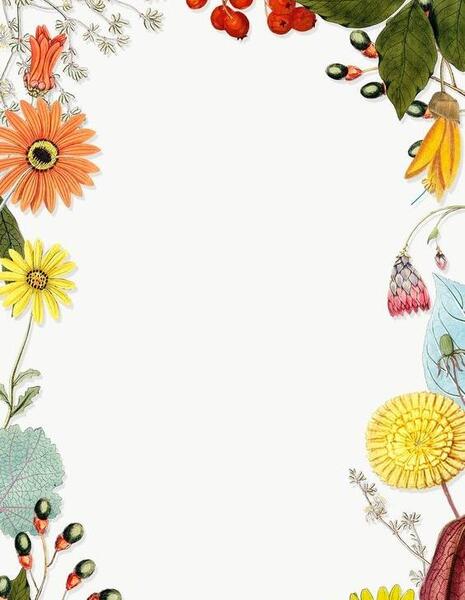 عکس نقاشی گل برای حاشیه برگه اچار