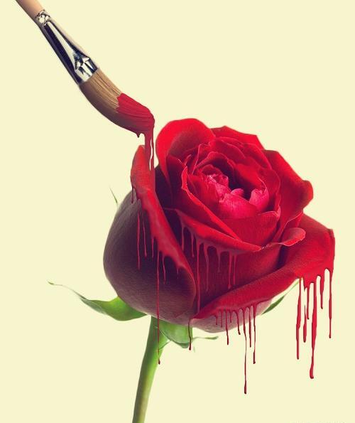 عکس نقاشی گل با مداد رنگی سخت