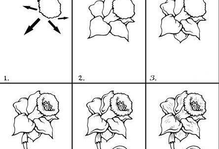 عکس نقاشی گل با مداد رنگی برای کودکان