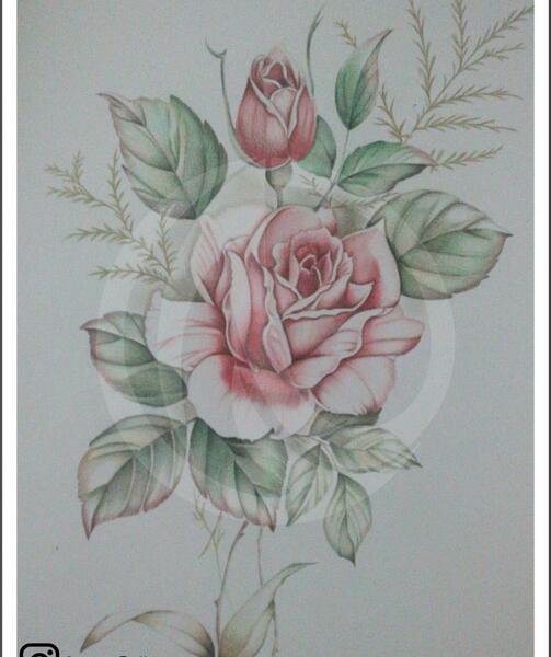 عکس نقاشی گل با مداد رنگی حرفه ای