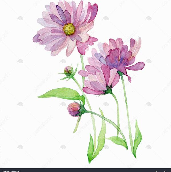 عکس نقاشی گل بابونه روی بوم