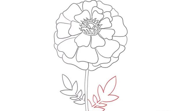 عکس نقاشی گل بابونه کودکانه