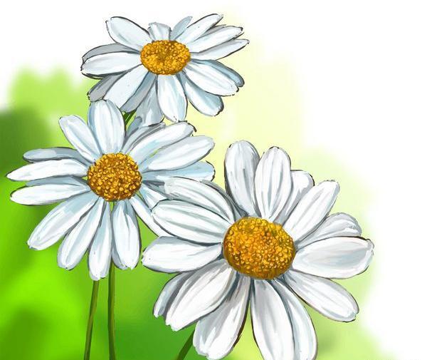 عکس نقاشی گل بابونه کودکانه