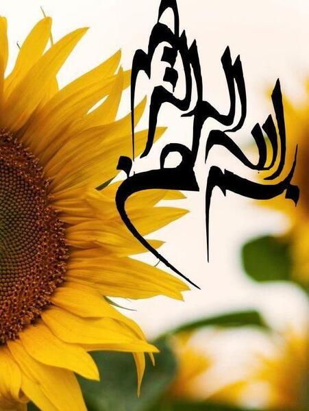 عکس از بسم الله الرحمن الرحیم رنگی