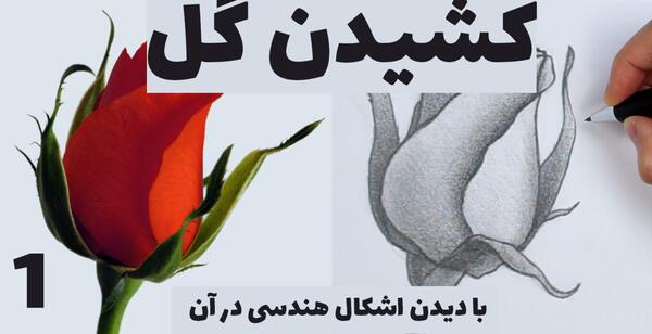 عکس نقاشی گل با اشکال هندسی برای بزرگسالان
