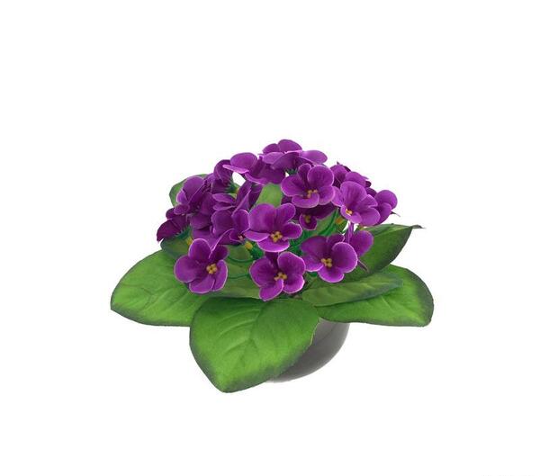 عکس نقاشی گل بنفشه آفریقایی