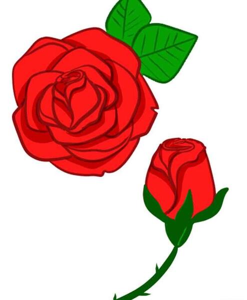 عکس نقاشی گل رز برای کودکان