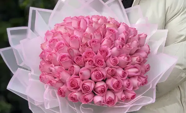 عکس نقاشی گل پژمرده و گل شاداب
