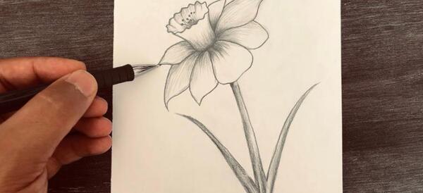 عکس نقاشی گل پژمرده سیاه و سفید