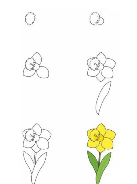 عکس آموزش نقاشی گل پنج پر