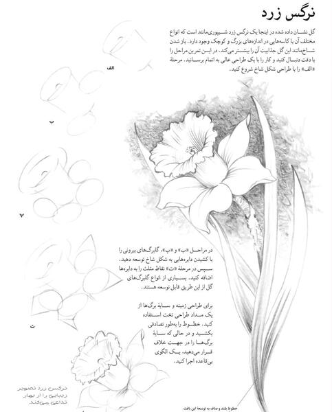 عکس نقاشی کودکانه گل پنج برگ