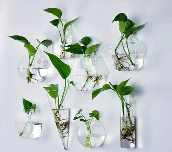 عکس نقاشی گل پتوس آسان