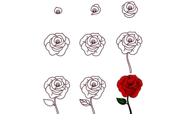 عکس نقاشی گل داوودی کودکانه