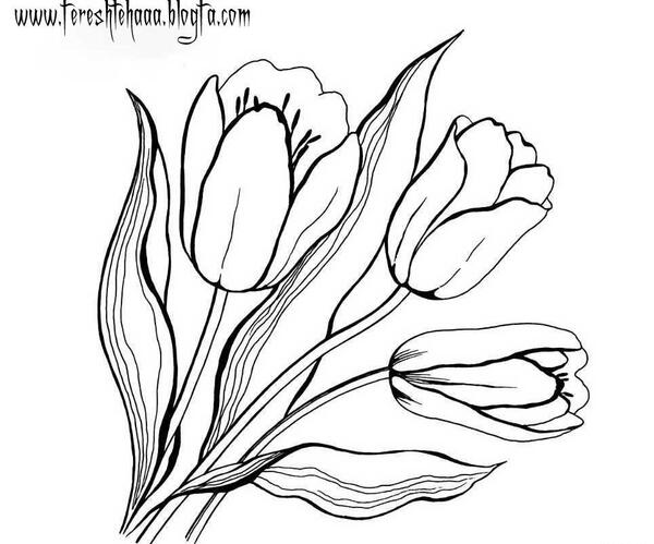 عکس نقاشی دخترانه گل لاله