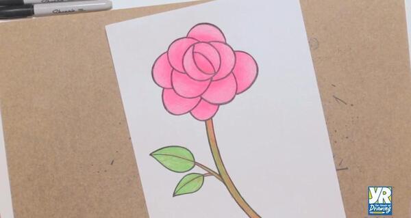 عکس نقاشی گل رز قرمز سخت