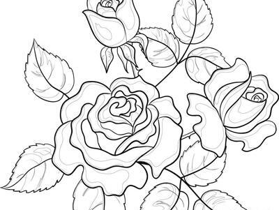 عکس نقاشی گل رز کودکانه اسان