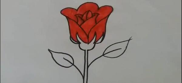 عکس آموزش نقاشی گل رز آسان