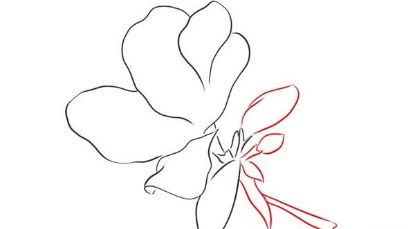 عکس نقاشی گل های زیبا کودکانه