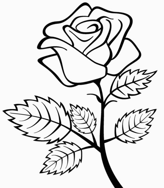 عکس نقاشی یک گل زیبا کودکانه