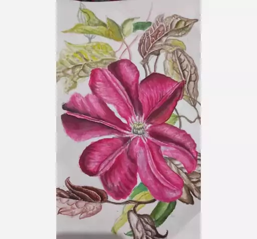 عکس نقاشی گل زنبق با آبرنگ