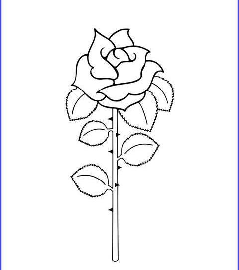عکس نقاشی گل زرد اسان
