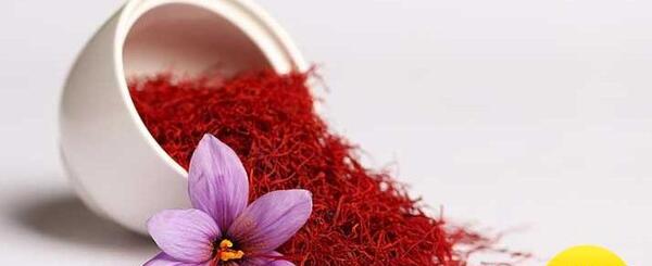 عکس نقاشی گل زعفران آسان